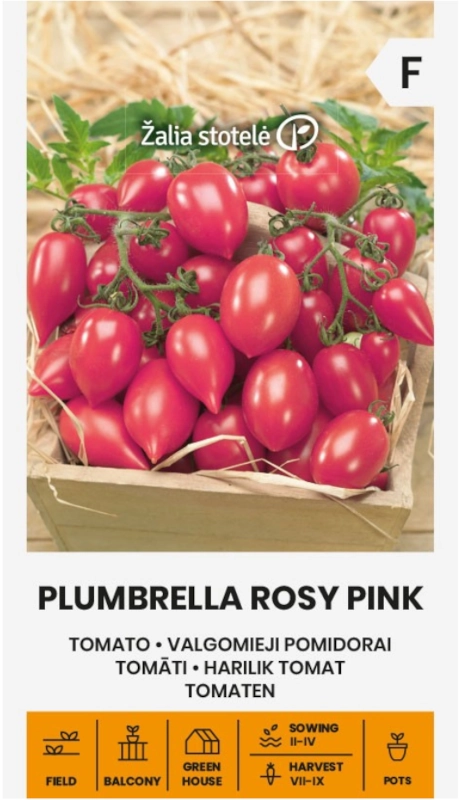 Pomidor Plumbrella Rosy Pink o licznych drobnych owocach nasiona Žalia stotelė